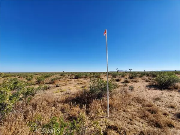 Lake Los Angeles, CA 93535,2 Ave L12