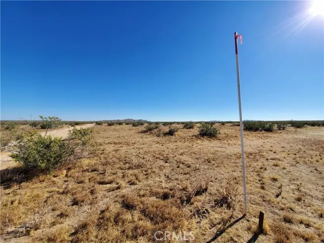 Lake Los Angeles, CA 93535,2 Ave L12