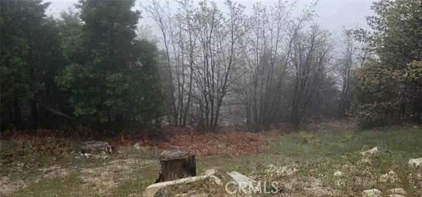 Rimforest, CA 92378,0 Bridal