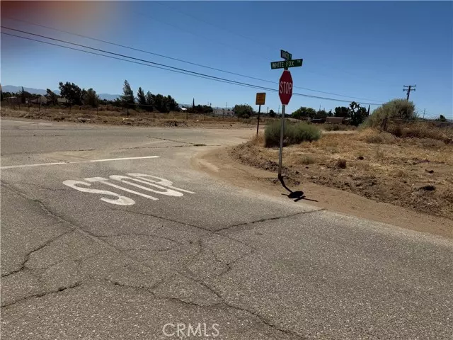 Oak Hills, CA 92344,9875 Braceo Street