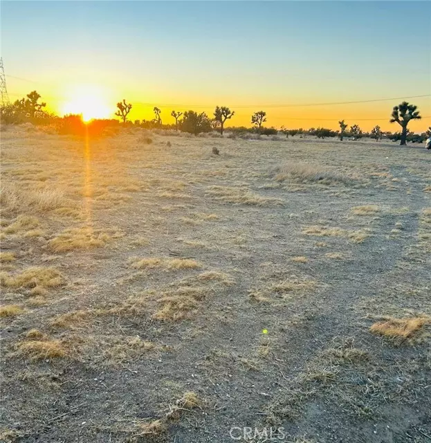 Joshua Tree, CA 92252,4 Two Mile Road