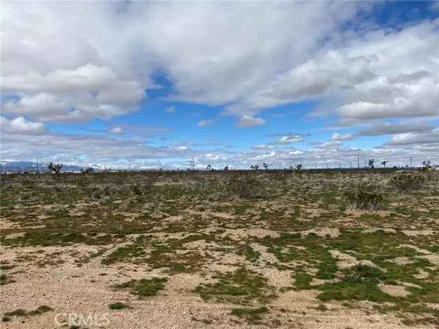 Adelanto, CA 92301,0 Bellflower Street