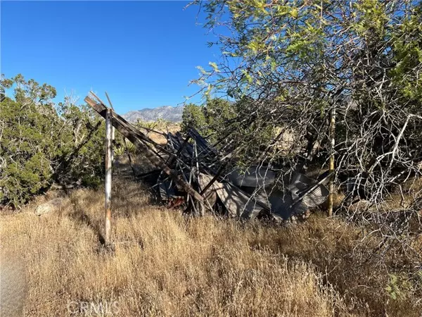 Lucerne Valley, CA 92356,776 Silver Creek Canyon (NEAR) Road