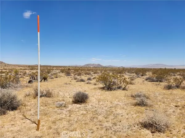 Joshua Tree, CA 92252,15 Bowman Trail