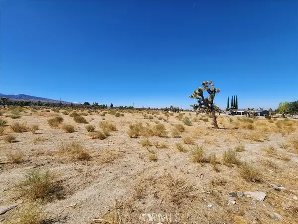 Pinon Hills, CA 92372,11226 Primavera Road