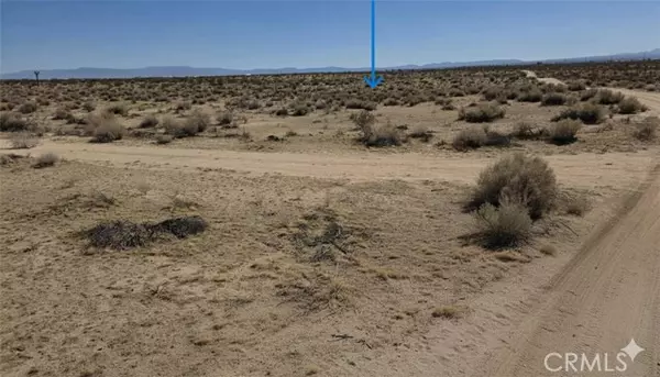 Adelanto, CA 92301,0 Torosa