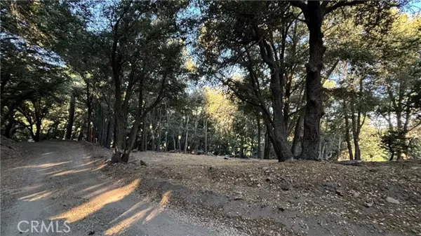 Cedarpines Park, CA 92322,722 Mojave River Road