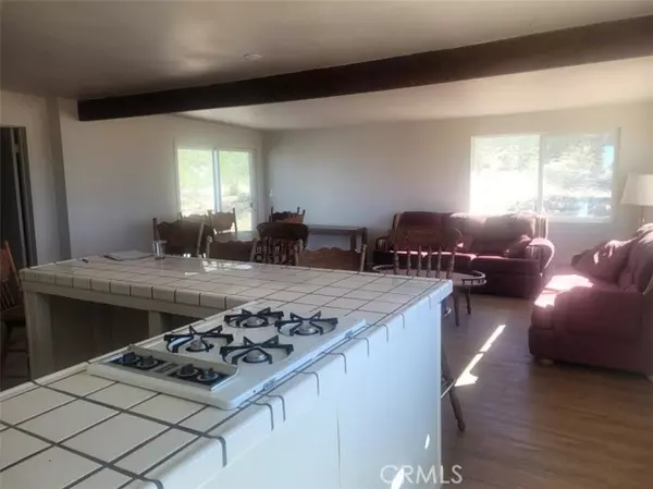 Big Bear City, CA 92285,50471 Cholla