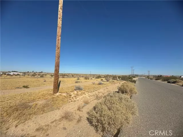 Helendale, CA 92342,0 Rodeo