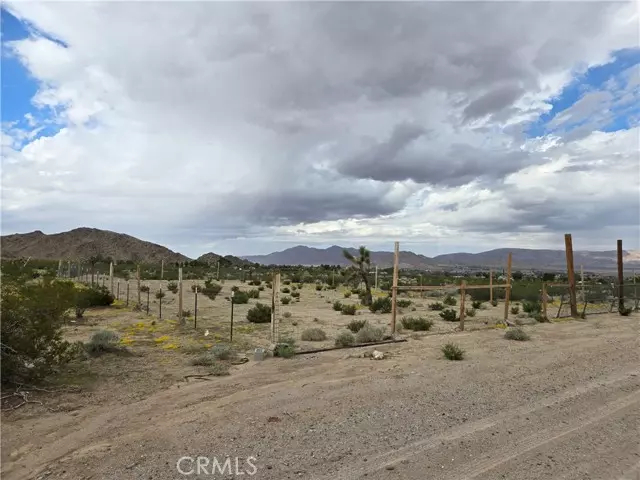 Lucerne Valley, CA 92356,9036 Briar