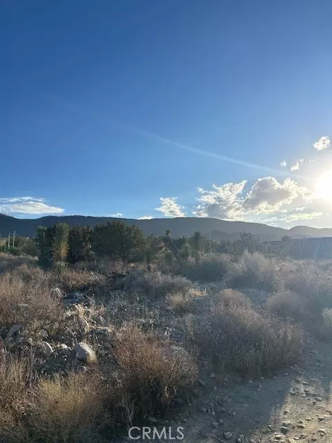 Pinon Hills, CA 92372,0 Yucca