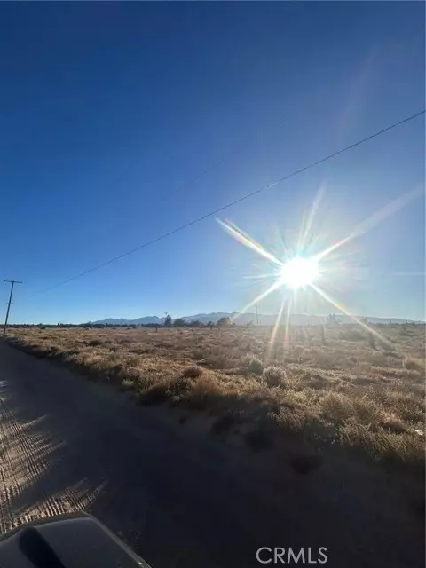 Phelan, CA 92371,0 Shasta