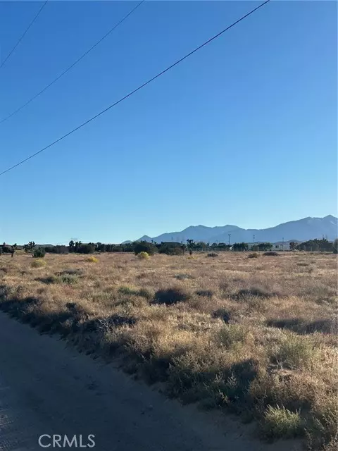 Phelan, CA 92371,0 Shasta