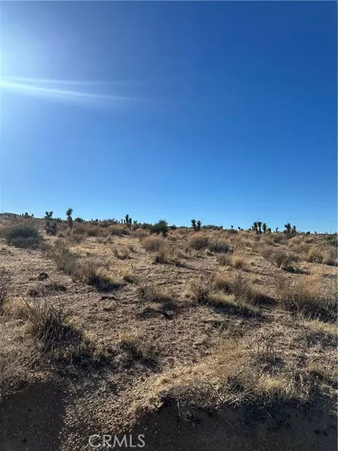 Apple Valley, CA 92308,0 Canyon View Road