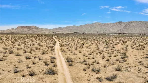 Apple Valley, CA 92308,0 Lagartijo