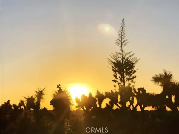 Phelan, CA 92371,1 Yucca Terrace Drive