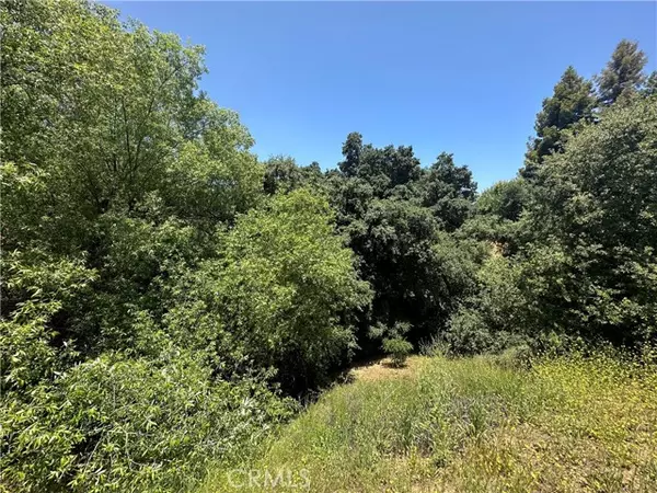 Yucaipa, CA 92399,0 Oak Mountain Drive