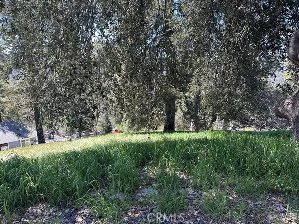 Cedarpines Park, CA 92322,0 Elliot Road