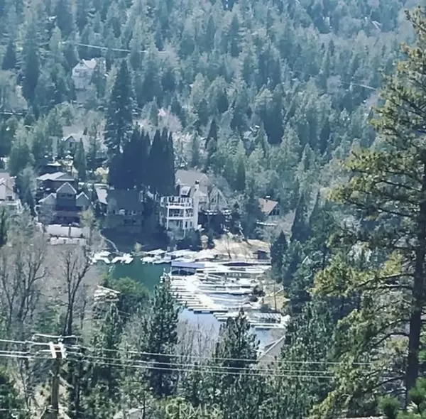 Lake Arrowhead, CA 92352,27843 Alpen Drive