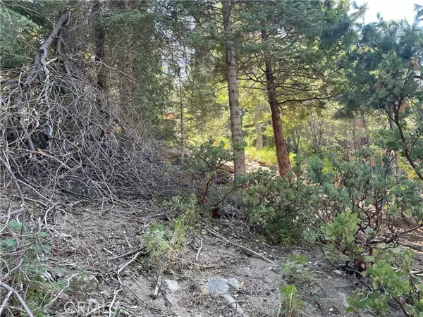 Twin Peaks, CA 92391,28 Lot 28 Forest Lane