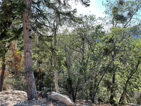 23 Lot 23 Music Camp Road, Los Angeles, CA 92382