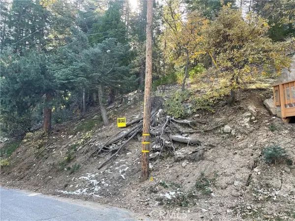 Twin Peaks, CA 92391,29 Lot 29 Forest Lane
