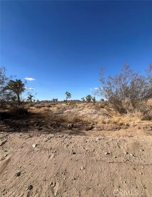 Joshua Tree, CA 92252,0 Campanula Street