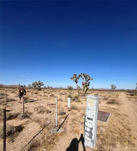 Joshua Tree, CA 92252,0 Campanula Street