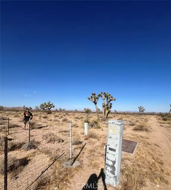 Joshua Tree, CA 92252,0 Campanula Street