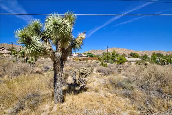 Yucca Valley, CA 92284,3 Parcel 03 29 Palms Highway