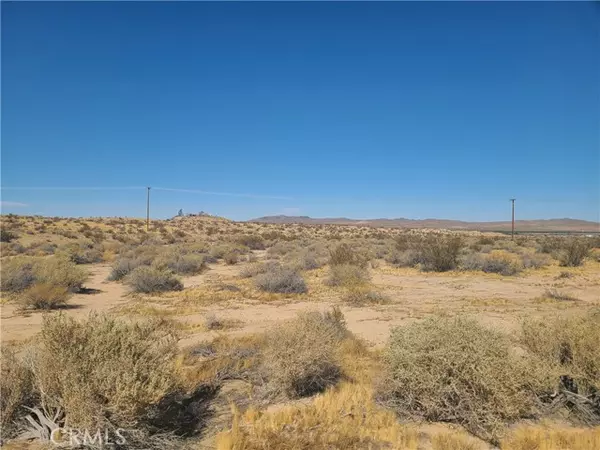 Helendale, CA 92342,0 Egbert Lane