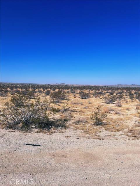 29 Palms Highway, Joshua Tree, CA 92252