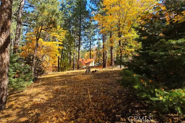 Big Bear Lake, CA 92315,0 Ford Ln