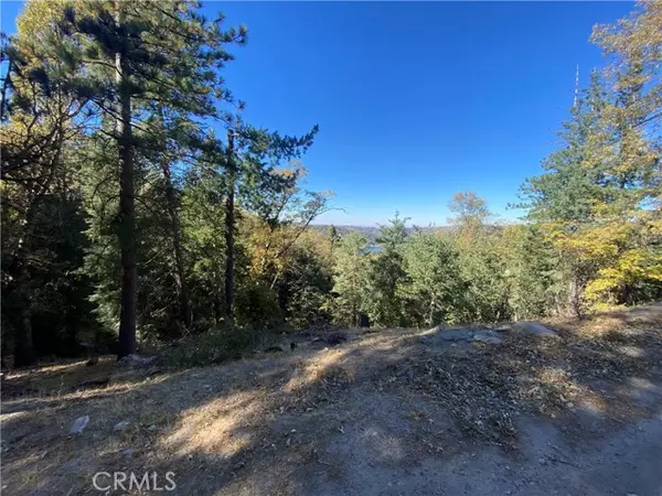 Crestline, CA 92325,24989 Highland Drive