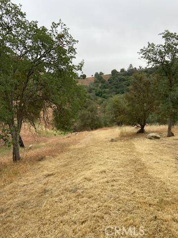 0 Peregrine Place, Tehachapi, CA 93561