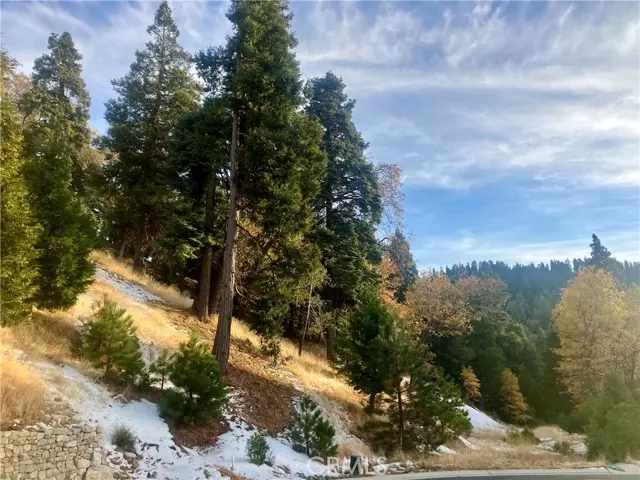 Lake Arrowhead, CA 92352,285 Hidden Forest Road