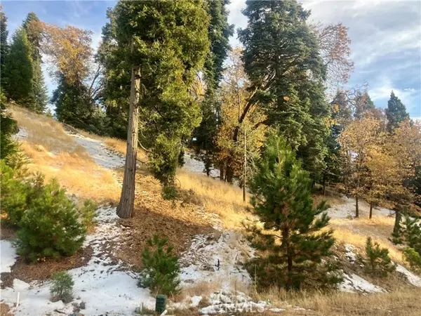 Lake Arrowhead, CA 92352,285 Hidden Forest Road