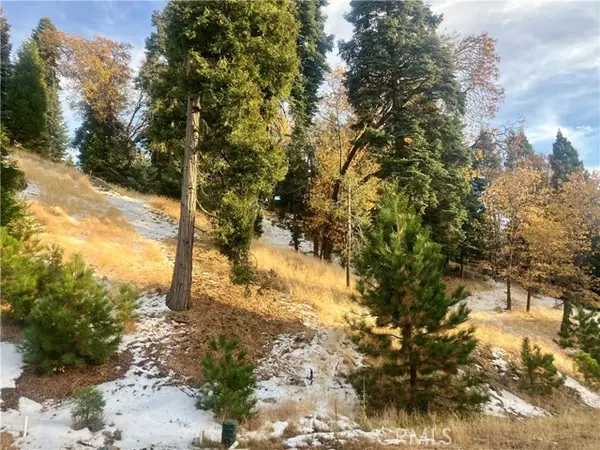 Lake Arrowhead, CA 92352,285 Hidden Forest Road