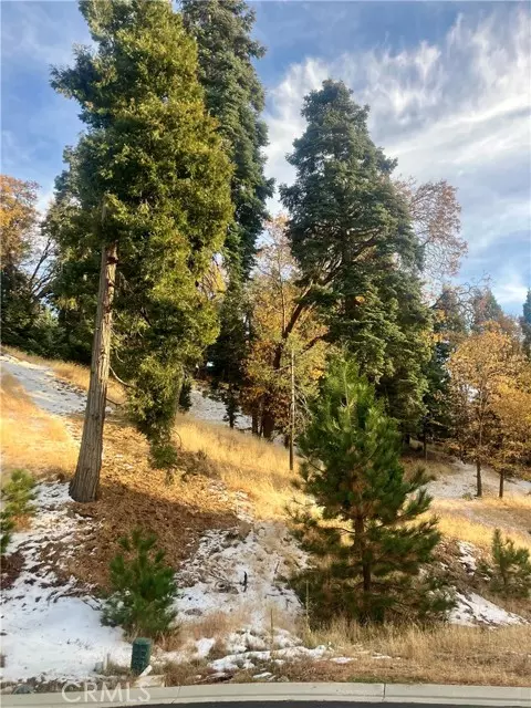 Lake Arrowhead, CA 92352,285 Hidden Forest Road