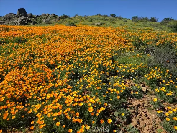 Riverside, CA 92570,19906 Santa Rosa Mine Road