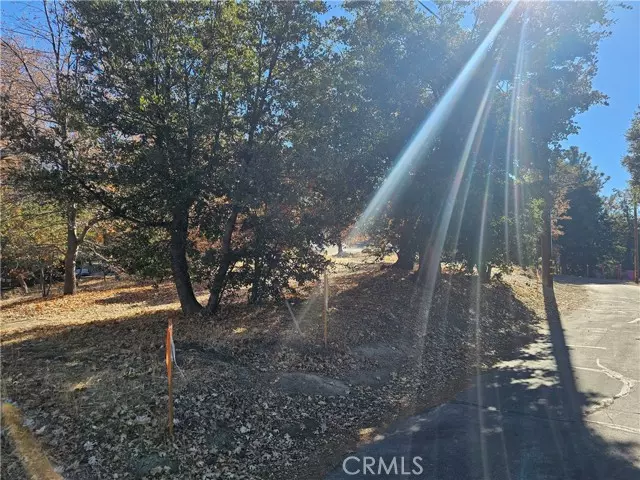 Lake Arrowhead, CA 92352,0 Edgecliff Drive