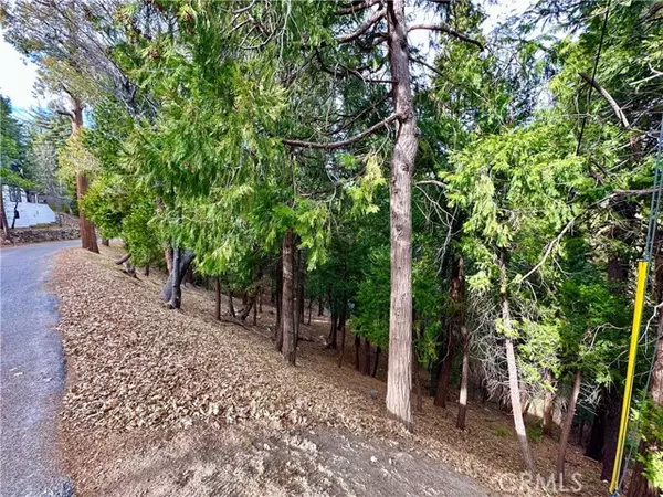 291 Hillside Road, Lake Arrowhead, CA 92352