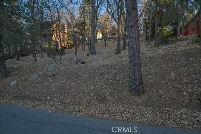 Lake Arrowhead, CA 92352,1411 Yosemite Drive