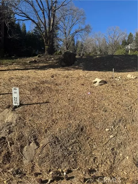 Rimforest, CA 92378,26600 Highway 18