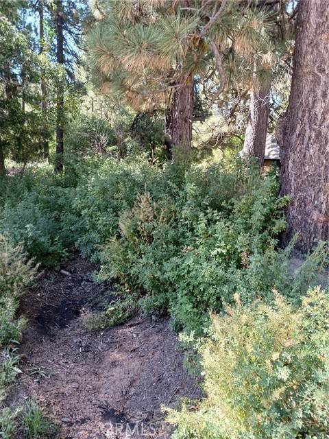 0 Green Valley Lake Road, Green Valley Lake, CA 92341