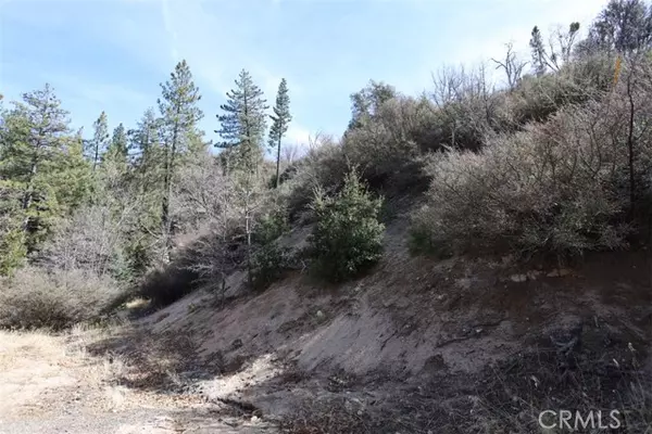 Cedar Glen, CA 92321,0 Acacia Road