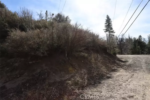 Cedar Glen, CA 92321,0 Acacia Road