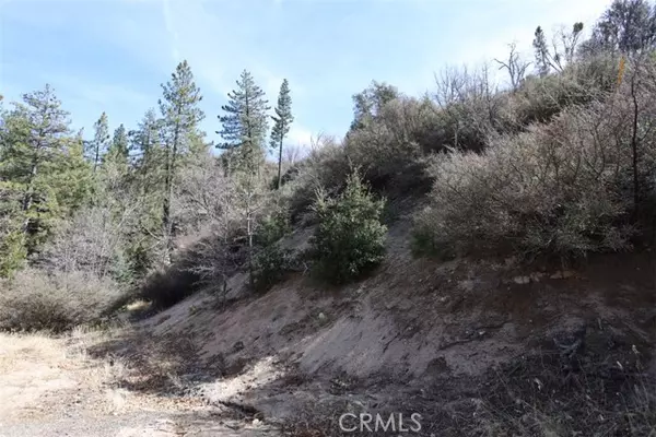 Cedar Glen, CA 92321,717 Acacia Road