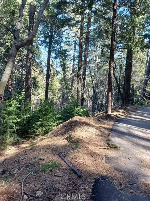 Cedarpines Park, CA 92322,687 Spring Drive