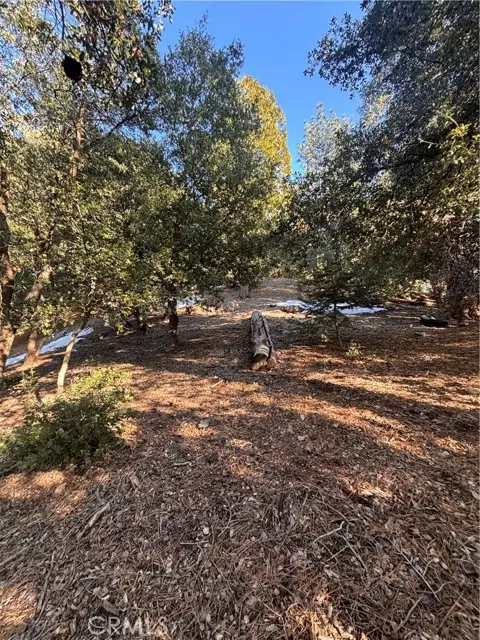 Twin Peaks, CA 92391,0 North Rd